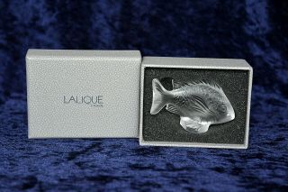 Lalique Clear Damsel Fish,  Boxed