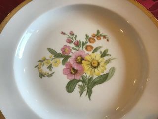 Set 6 Meissen Floral Porcelain Plates Marked & Numbered 7.  75” Salad Cabinet 2