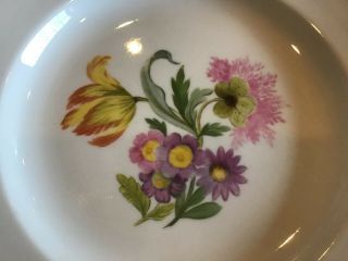 Set 6 Meissen Floral Porcelain Plates Marked & Numbered 7.  75” Salad Cabinet 3