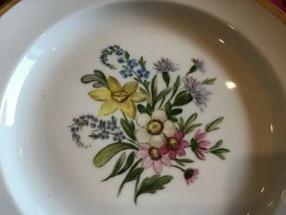 Set 6 Meissen Floral Porcelain Plates Marked & Numbered 7.  75” Salad Cabinet 5