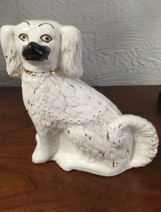 Antique Staffordshire Spaniel Dog 8.  25 