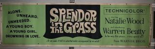 1961 Splendor In The Grass Banner 24x82 Natalie Wood Warren Beatty Movie Poster