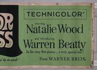 1961 SPLENDOR IN THE GRASS Banner 24x82 Natalie Wood Warren Beatty Movie Poster 7