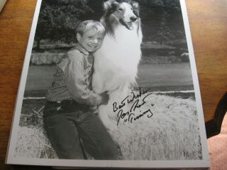 Timmy Hugging Lassie 8 " X 10 " Glossy B&w Fan Photo Autograph Not Authenticated