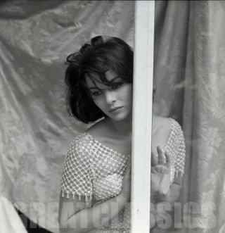 Giovanna Ralli 1950s Young Lovely 2 1/4 Camera Negative Peter Basch