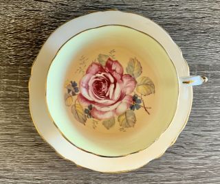 Paragon Double Warrant Tea Cup and Saucer Set Floating Cabbage Rose,  Handpainted 3