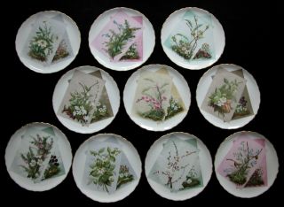 Rare George Jones English Aesthetic Movement Porcelain Plates Botanical Cards