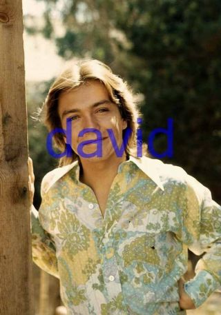 David Cassidy 107,  8x10 Photo,  Closeup,  The Partridge Family