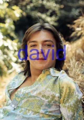 David Cassidy 108,  8x10 Photo,  Closeup,  The Partridge Family