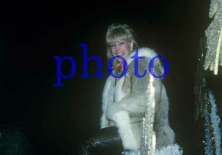 Barbara Eden 1294,  Wrapped In Fur Coat,  I Dream Of Jeannie,  8x10 Photo