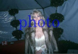 Barbara Eden 1295,  Wrapped In Fur Coat,  I Dream Of Jeannie,  8x10 Photo
