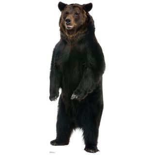 Brown Bear Cardboard Cutout Standee Standup Poster Prop Huge Animal