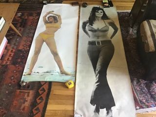 Vintage Raquel Welch Posters - 1960’s - Terry O’neil