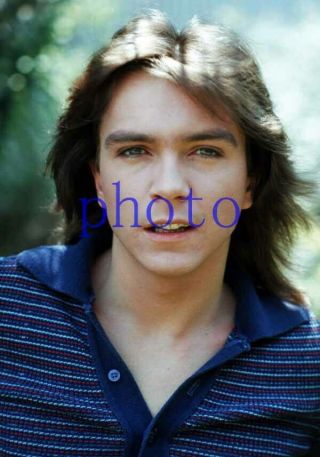 David Cassidy 127,  8x10 Photo,  Closeup,  The Partridge Family