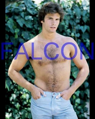 Falcon Crest 453,  Lorenzo Lamas,  Barechested,  Shirtless,  8x10 Photo