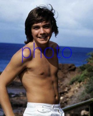 David Cassidy 146,  Barechested,  Shirtless,  8x10 Photo,  The Partridge Family