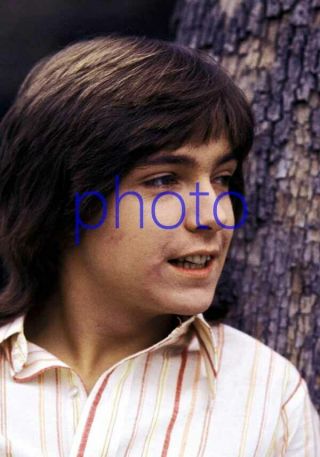 David Cassidy 148,  8x10 Photo,  The Partridge Family