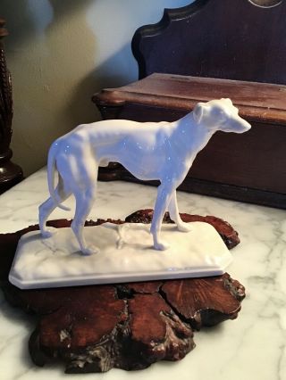 Nymphenburg Whippet Dog Figurine