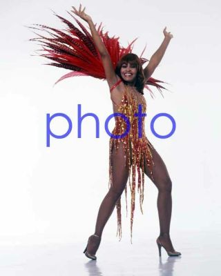 Tina Turner 63,  Private Dancer,  What 