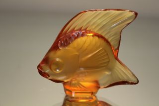 Lalique Crystal Amber Orange Seal Poisson Fish 10604 Figure Signed