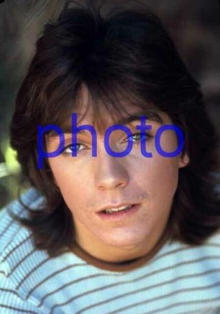 David Cassidy 227,  The Partridge Family,  8x10 Photo