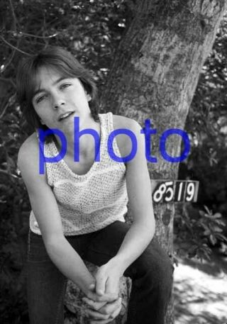 David Cassidy 243,  The Partridge Family,  8x10 Photo