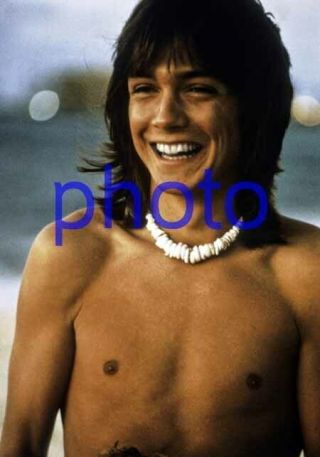 David Cassidy 242,  Barechested,  Shirtless,  The Partridge Family,  8x10 Photo