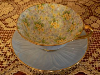 Shelley Primrose Blue Oleander Chintz Cup And Saucer -