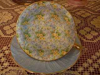 Shelley Primrose Blue Oleander Chintz Cup and Saucer - 2