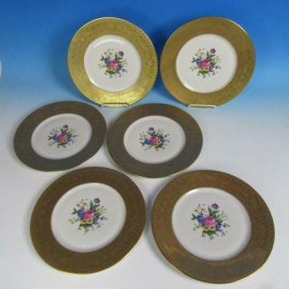 Czechoslovakia China - Gold And Floral Decorated - 6 Dinner Plates