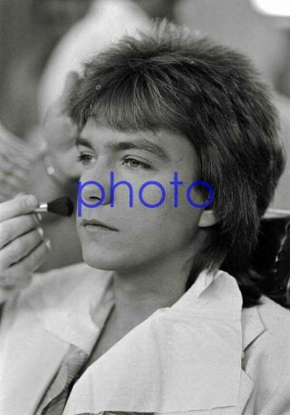 David Cassidy 216,  The Partridge Family,  8x10 Photo