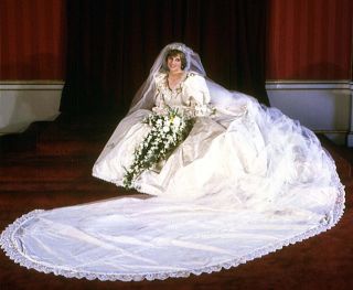 Princess Diana Wedding Dress Photo 8x10 Fantastic Picture