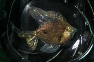 Vintage Mid 20thC Italian Cendese or Barovie Fish Aquarium Art Glass Paperweight 2