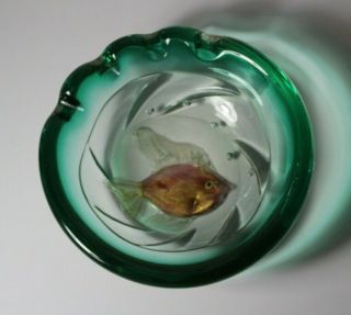 Vintage Mid 20thC Italian Cendese or Barovie Fish Aquarium Art Glass Paperweight 7