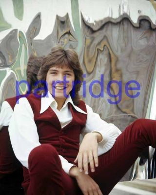 The Partridge Family 95,  David Cassidy,  8x10 Photo
