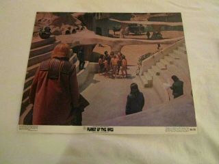 Planet Of The Apes,  Heston,  Lobby Card 5 1968