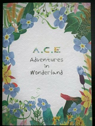 A.  C.  E Adventures In Wonderland Cd Rare Day Version One Photocard