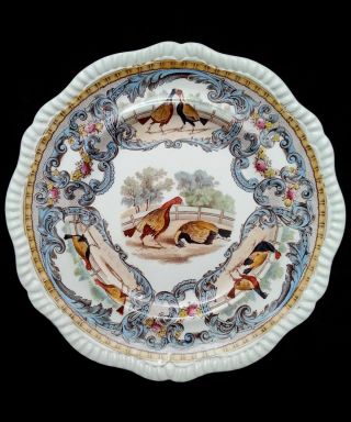 Antique Copeland Late Spode " Turkey Duel " Ceramic Plate,  Rare,  10.  75 Inches