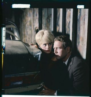 The Prize 1963 Paul Newman Elke Sommer 2.  25 X 2.  25 Photo Transparency