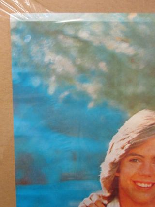 vintage 1978 The Hardy Boys TV show sleuths poster 10264 3