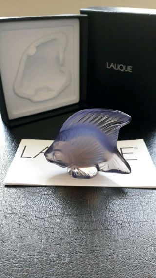 Lalique Fish Lilac 3001800,  Seal Fish,  Angel Fish.  Bnib Gift Idea