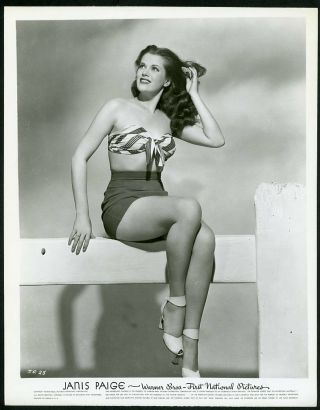 Janis Paige Vintage 1940s Leggy Cheesecake Warner Bros Pictures Photo