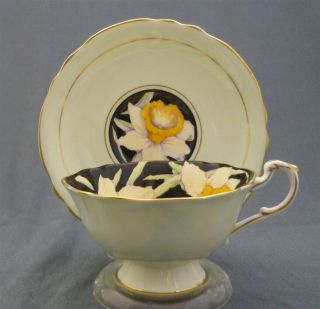 Wide Black Hand Painted Paragon England Daffodil Flowers Tea Cup & Saucer Duo 4
