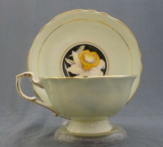 Wide Black Hand Painted Paragon England Daffodil Flowers Tea Cup & Saucer Duo 5