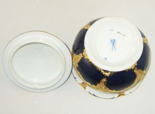 Meissen Porcelain 1852 - 1870 COBALT & GOLD 
