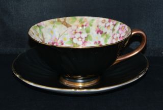 Shelley Black Oleander Maytime Chintz Cup & Saucer 13416/24