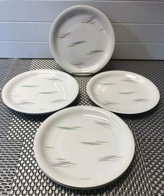 6 Vintage Rosenthale Selb - Plossberg Germany 9 5/8” Dinner Plates.