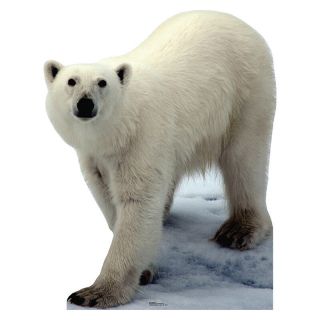 Polar Bear Lifesize Cardboard Cutout Standup Standee Poster Prop Arctic Freeship