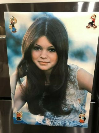 Vintage 1978 Valerie Bertinelli Poster,  20 " X 28 " Pro Arts,  One Day At A Time