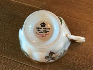 VTG Royal Albert Gilt and Roses Bone China/Tea Cup And Saucer/Eng. 6